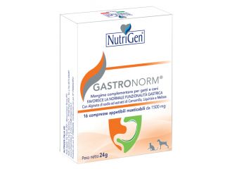 Gastronorm 16 compresse nutrigen