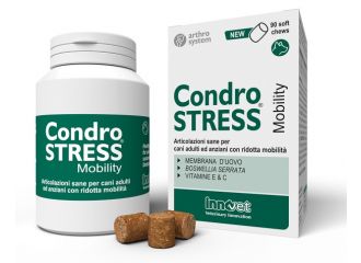 Condrostress mobility 90 soft chews